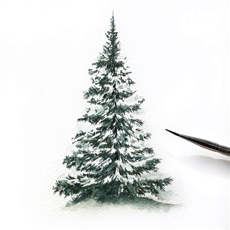 Painting A Snow Covered Pine Tree Using Watercoloursthe Snow Is