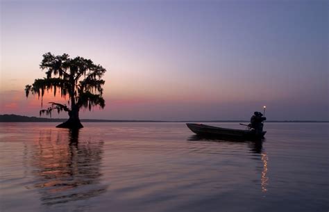 Louisiana Landscape Louisiana Photography