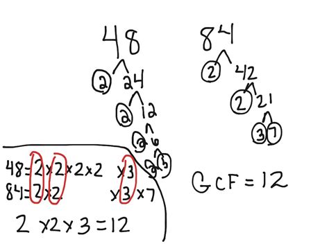 Gcf Using Prime Factorization Math Middle School Math 6ns4