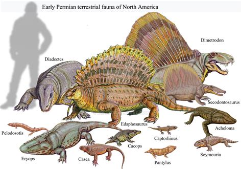 Early Permian Of Usa Ancient Animals Prehistoric Creatures Extinct
