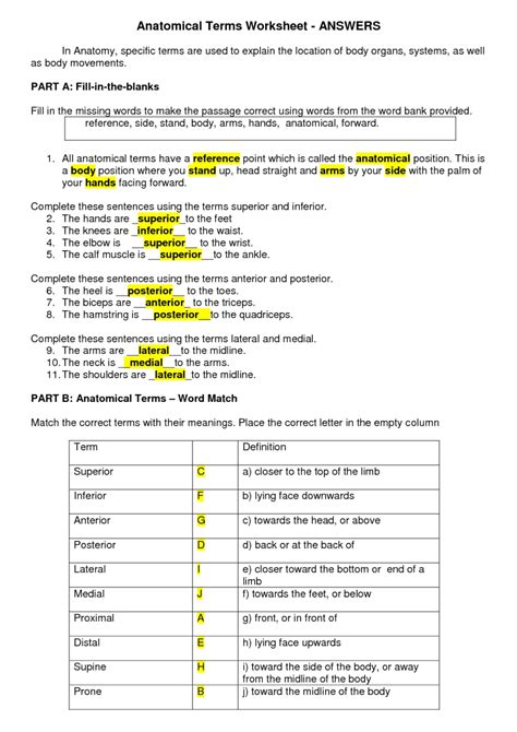 The Language Of Anatomy Review Sheet Exercise 1 Answers 46 Pages