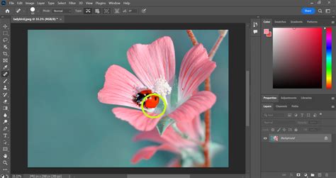 How To Use The Spot Healing Brush In Photoshop