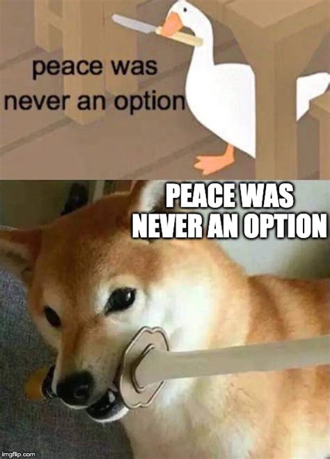 Peace Was Never An Option Cat Meme Img Thevirtual
