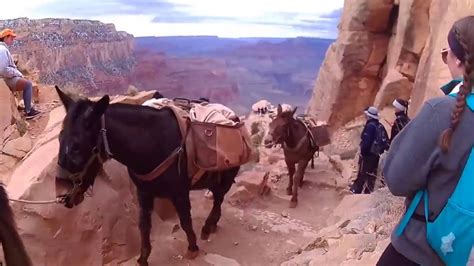 Grand Canyon Hike Navajo Nation 2017 Youtube