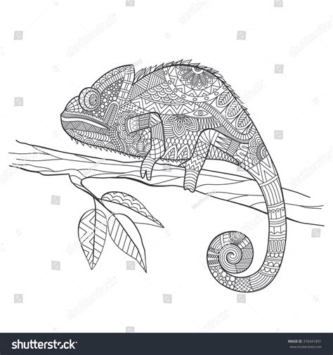 Hand Drawn Chameleon Zentangle Style Coloring Stock Vector Royalty