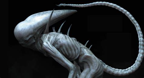 Yes, those white aliens, dubbed neomorphs, are bad looking but they. Hiya Toys Set To Produce Alien: Covenant 3.75-Inch Figures ...