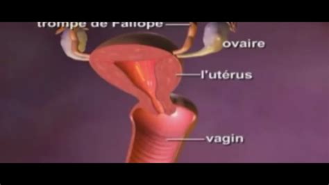 Mycose Vaginale YouTube