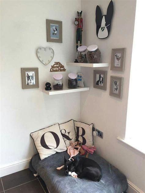 Cute Dog Rooms In The Corner