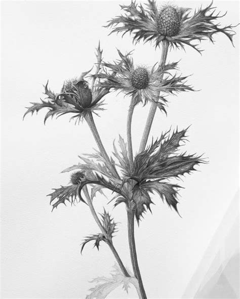 Check spelling or type a new query. 18 Pencil Drawings Of Nature That Will Make You Want To Be ...