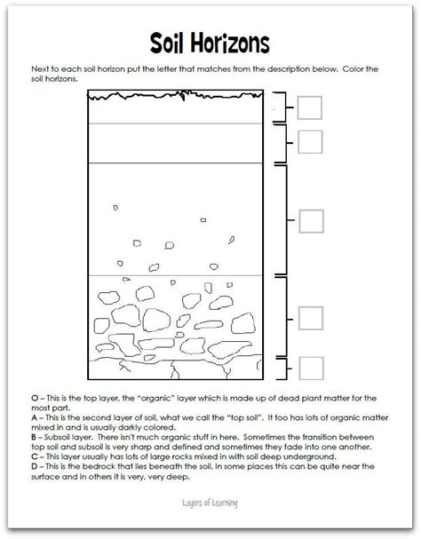 Learn About Soil Horizons And Print Out The Soil Horizons Worksheet To