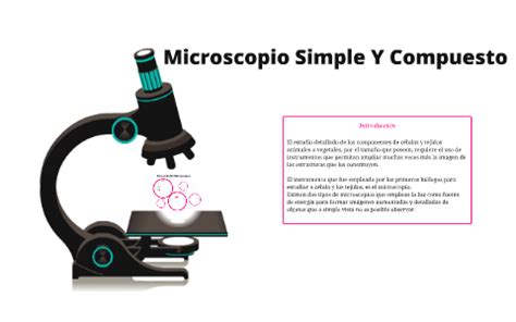 Microscopio Simple Y Compuesto By Daniela Vanegas On Prezi