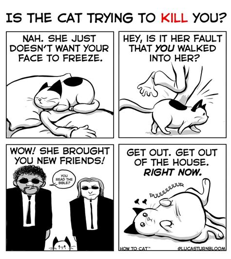 pin by sandy ayres on cats furry rulers of the world how to cat comics cat comics