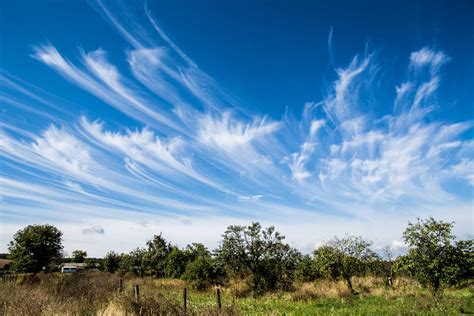 Six Clouds You Should Know About And What They Can Reveal About The