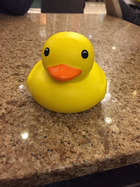 Rubber Duck I Won At Dave And Busters Rrubberducks