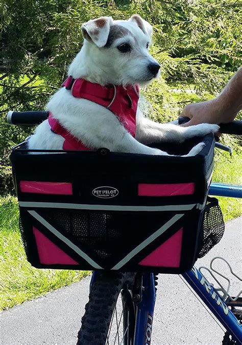 Shop snoozer sporty pet bike baskets at 1800petmeds so your pet can enjoy your bike ride in style. 5 of the Best Dog Bike Baskets to Safely Take Your Dog ...