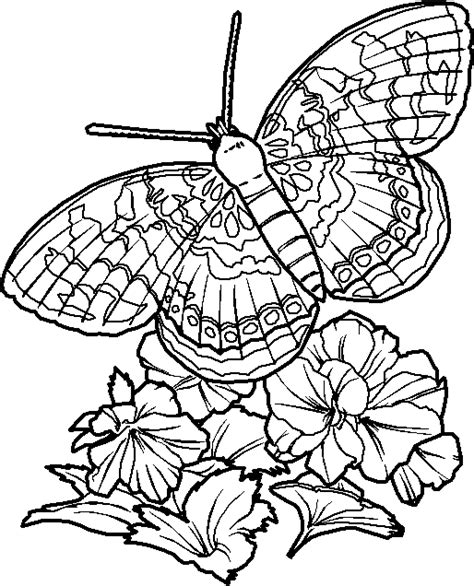 Nine free printable butterfly coloring pages that include five sets of small butterflies and four large butterflies. Hard butterflies Coloring Pages for Adults to print | Butterfly Coloring Pages | black and white ...