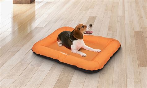 10 Dog Beds At Home Goods