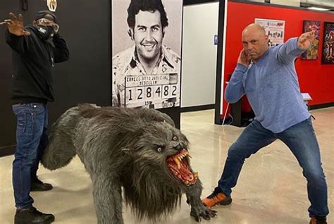 View this post on instagram. Where Is Joe Rogan's House? And Is That Where His Podcast ...