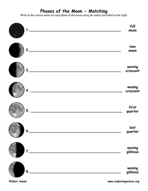 4th Grade Moon Phases Worksheet