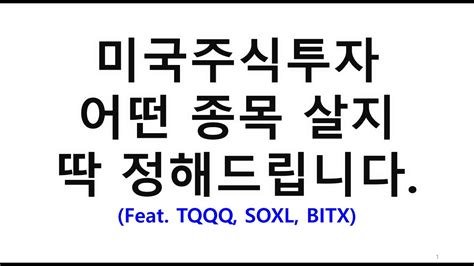 미국주식 미국주식투자 어떤 종목 살지 딱 정해드립니다 Feat Tqqq Soxl Bitx Youtube