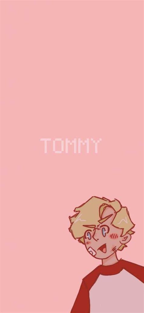 Tommyinnit Disc Wallpaper Tommys Discs Png Giblrisbox Wallpaper