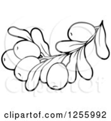 Hi guys i'm here with an easy tutorial it might seem a bit detailed but it's actually easy once you get the negative space layering of the leaves. Royalty Free Stock Illustrations of Coloring Pages by ...