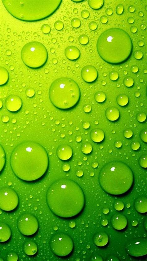 46 Lime Green Wallpapers Wallpapersafari