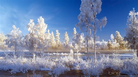 Free Download Hd Bing Winter Landscape Wallpaper