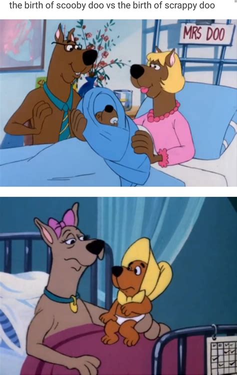 Welp This Explains A Lot Scooby Doo Scooby Really Funny Memes Funny Relatable Memes
