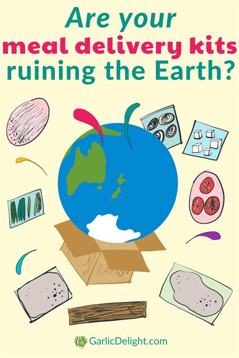 Are your meal delivery kits ruining the Earth?