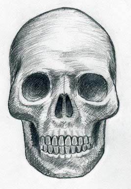 Start the top of the head. Draw Skulls Can Be This Easy