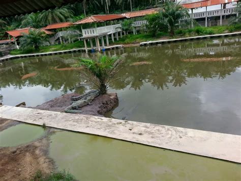 We did not find results for: Taman Buaya Telok Sengat, Kota Tinggi.. | af aris