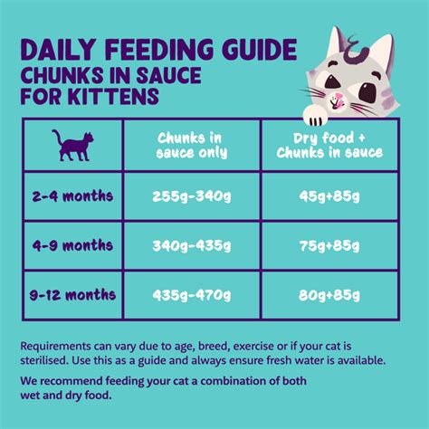 Feeding Guidelines For Cats Edgard And Cooper