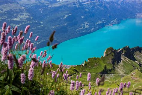 Interlaken And Lake Brienz Switzerland