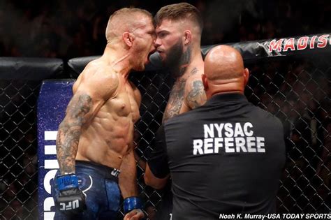 For this list, we'll be looking at movies that provided insight, inspiration, and escapism in the crazy year that was 2020, reminding us why film is such an important now playing: UFC on Twitter in 2020 | Ufc, Usa today sports, Iconic photos