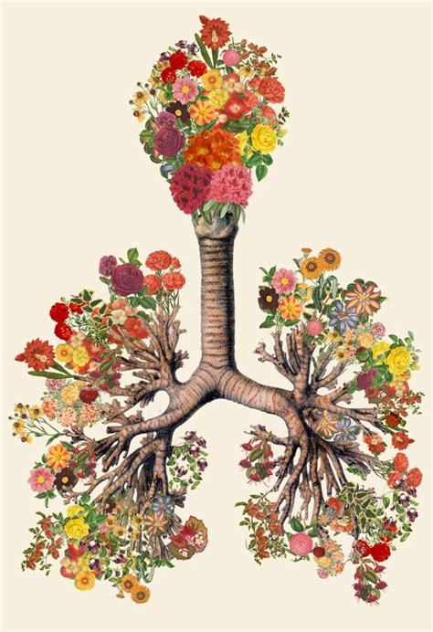 Just Breathe Anatomical Lungs Collage Art By Bedelgeuse Art Print By