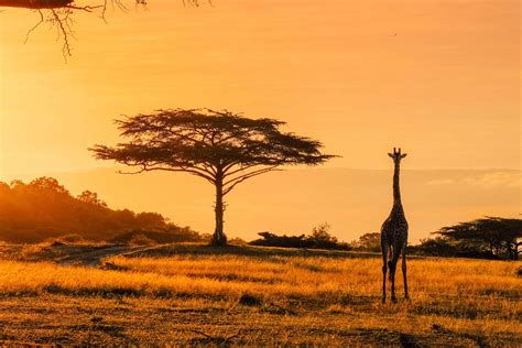 20 Africa Travel Tips To Help You Prepare For An Epic Trip