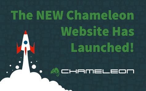 New Branding And Website For Chameleon Chameleon Web Services
