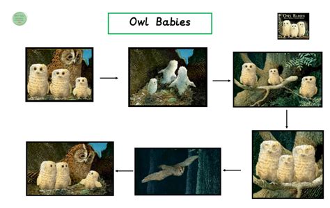 Owl Babies Story Map Teaching Resources