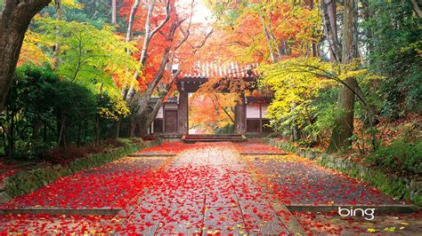 Autumn In Japan Wallpapers Hd Wallpapers