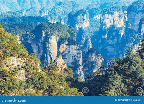 Colorful Cliffs In Zhangjiajie Forest Park At Sunrise Stock Image