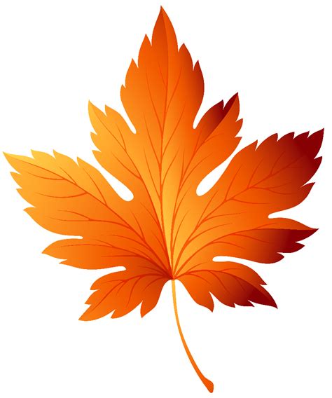 Download High Quality Fall Leaf Clipart Transparent Background