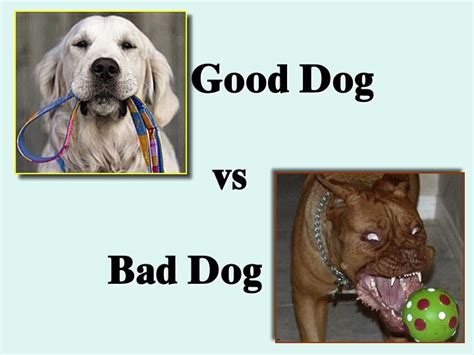 Jai Nitai Dasa Good Dog Vs Bad Dog Session One