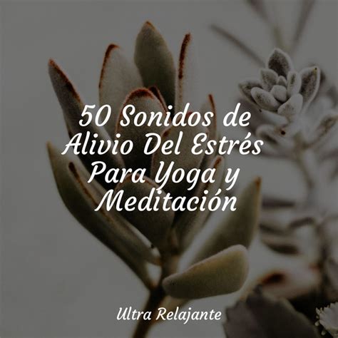 Sonidos De Alivio Del Estr S Para Yoga Y Meditaci N Album By