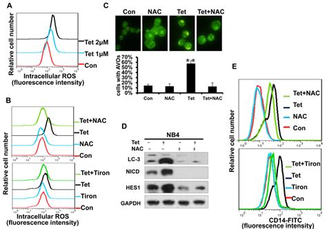 Intracellular Ros Generation Is An Early Event Of Tetrandrine Induced