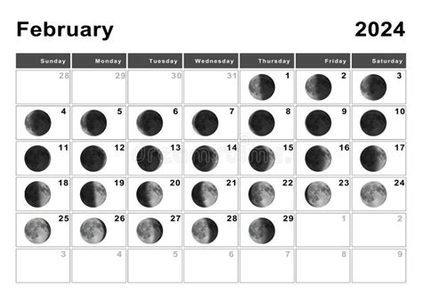 February 2024 Lunar Calendar Moon Cycles Stock Image Image Of Lunar
