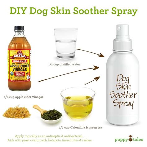 Pin By Michelle Reed On Dog Fun And Info Dog Skin Soother Itchy Dog