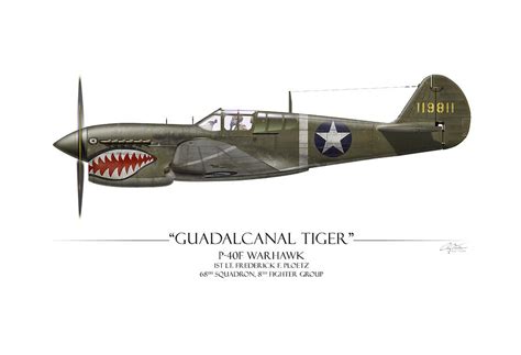 Guadalcanal Tiger P Warhawk White Background Painting By Craig