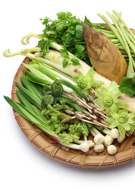 Sansai Japanese Edible Wild Plants Vegetables Stock Image Image Of