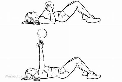 Ball Medicine Press Floor Workoutlabs Chest Exercise